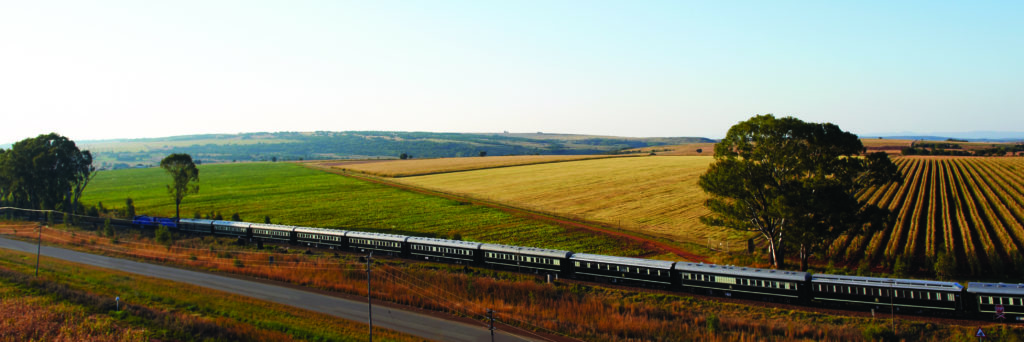 Rovos Rail: Southern Cross