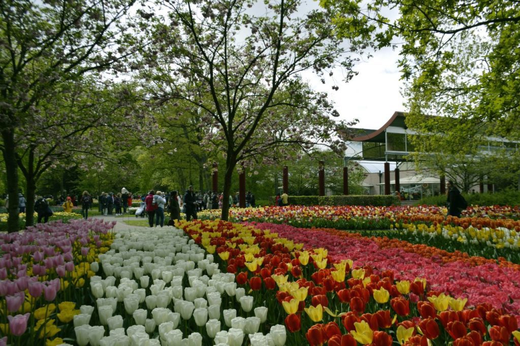 Keukenhof Gardens - The Netherlands