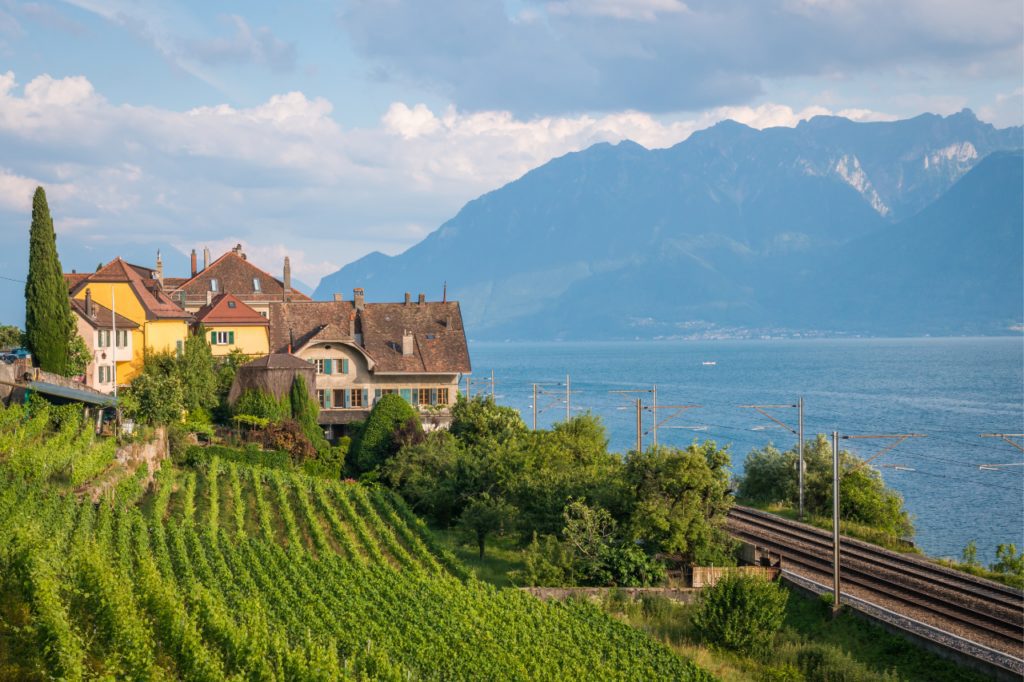 Vineyards near Lake Geneva