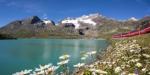 Bernina Express train passing by Lago Biano